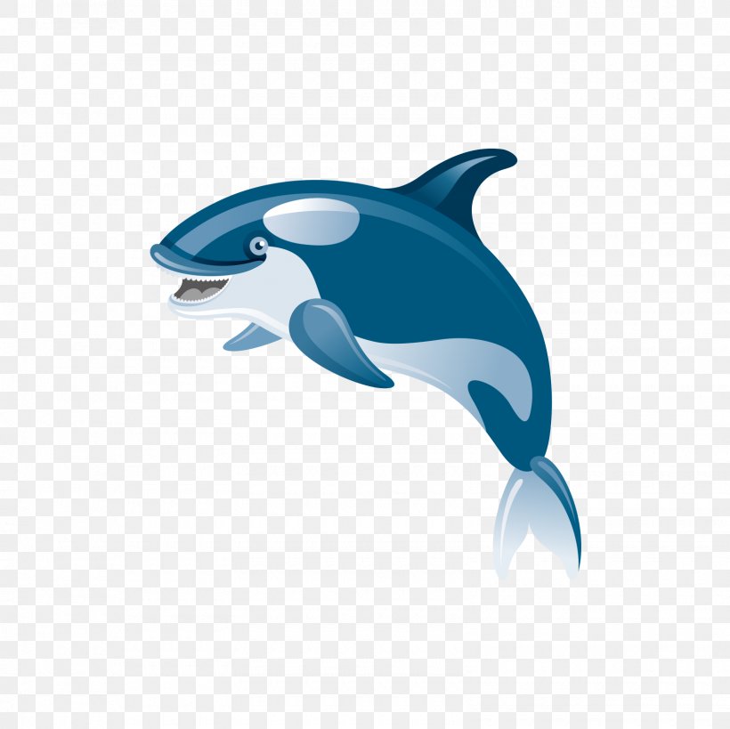 Shark Common Bottlenose Dolphin Icon, PNG, 1600x1600px, Shark, Animation, Blue, Cartoon, Common Bottlenose Dolphin Download Free