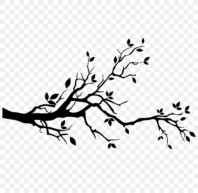 Wall Decal Branch Tree Drawing, PNG, 800x800px, Wall Decal, Beak, Bird, Black, Black And White Download Free