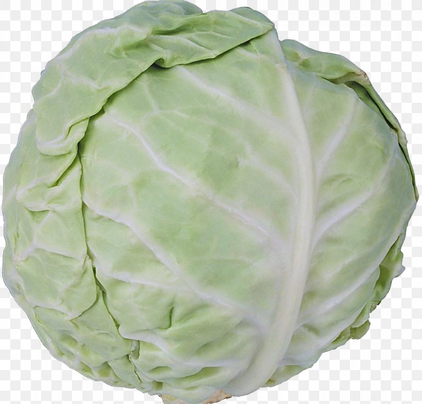 Chinese Cuisine Brassica Oleracea Vegetable Butterhead Lettuce Iceberg Lettuce, PNG, 1007x966px, Cabbage, Brassica Oleracea, Cauliflower, Chinese Cabbage, Chinese Cuisine Download Free