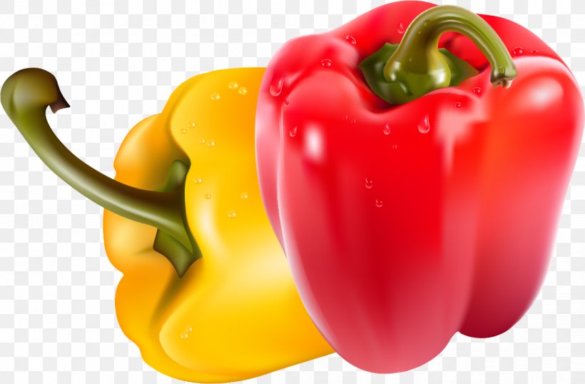 Bell Pepper Chili Pepper Vegetable Clip Art, PNG, 1238x813px, Bell Pepper, Bell Peppers And Chili Peppers, Black Pepper, Capsicum, Capsicum Annuum Download Free