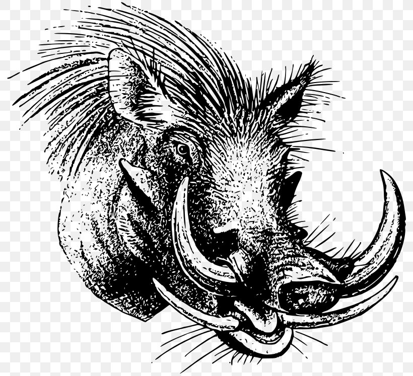 Common Warthog Wild Boar Drawing Clip Art, PNG, 800x747px, Common Warthog, Animal, Art, Black And White, Carnivoran Download Free