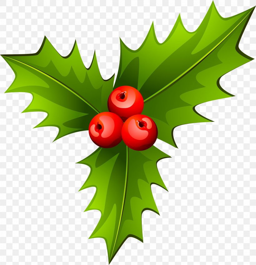 Holly Christmas Tree Plant, PNG, 2958x3067px, Holly, Aquifoliaceae, Aquifoliales, Baidu Wangpan, Christmas Download Free