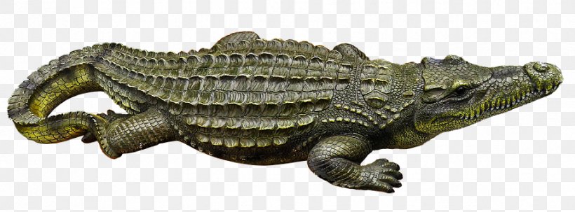 Nile Crocodile Alligator Ophidiophobia, PNG, 919x340px, Crocodile, Alligator, Animal, Animal Figure, Crocodiles Download Free