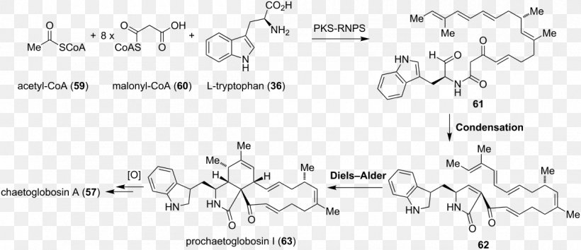 Chemistry Isoindole Semantic Scholar Document Natural Product, PNG, 1200x519px, Watercolor, Cartoon, Flower, Frame, Heart Download Free