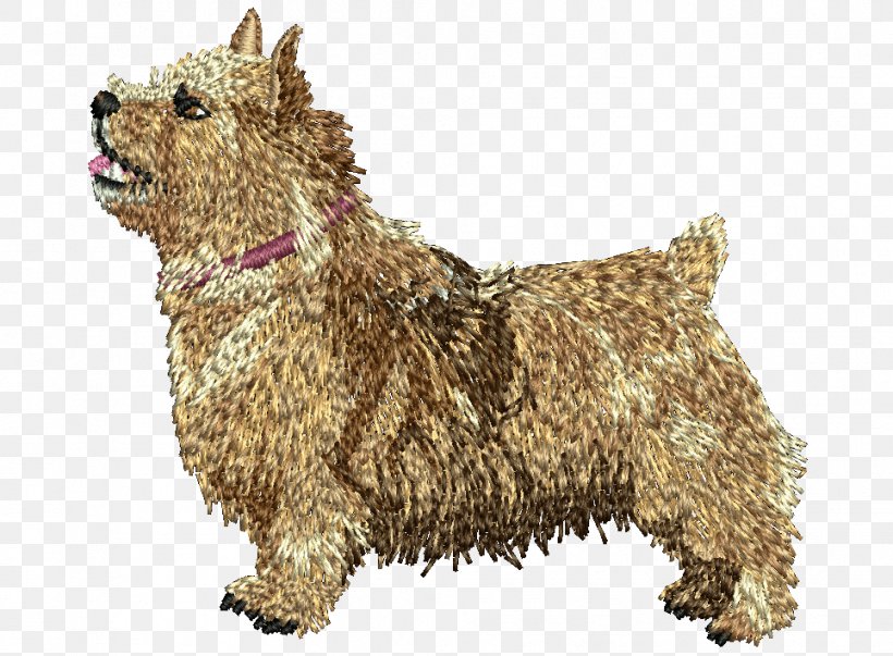 Norwich Terrier Glen Cairn Terrier Norfolk Terrier Dandie Dinmont Terrier, PNG, 964x710px, Norwich Terrier, Bolonka, Breed, Cairn Terrier, Carnivoran Download Free