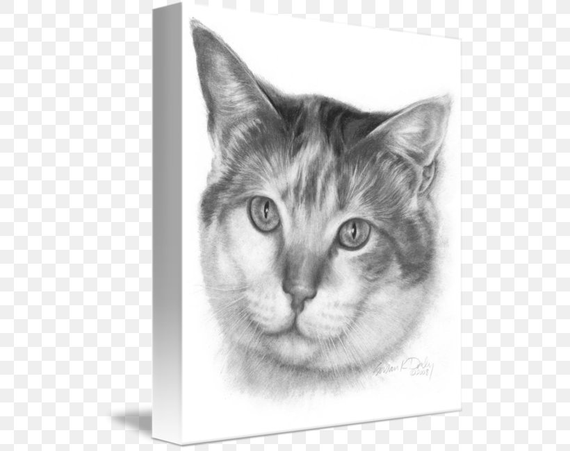 Whiskers Kitten Domestic Short-haired Cat Tabby Cat, PNG, 520x650px, Whiskers, Artwork, Black And White, Carnivoran, Cat Download Free