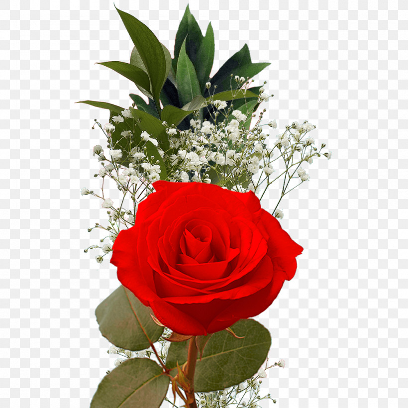 Garden Roses, PNG, 1000x1000px, Garden Roses, Artificial Flower, Blue Rose, Cut Flowers, Floral Design Download Free