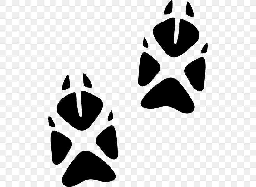 Paw Animal Track Fox Cat, PNG, 510x600px, Paw, Animal, Animal Track, Black And White, Cat Download Free