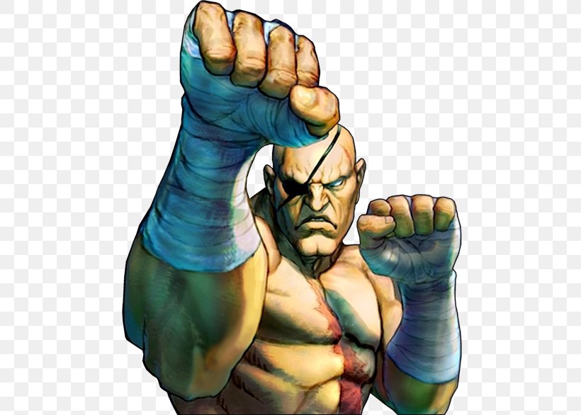 Super Street Fighter IV Street Fighter V Sagat Street Fighter II: The World Warrior, PNG, 484x586px, Street Fighter Iv, Akuma, Arm, Art, Blanka Download Free