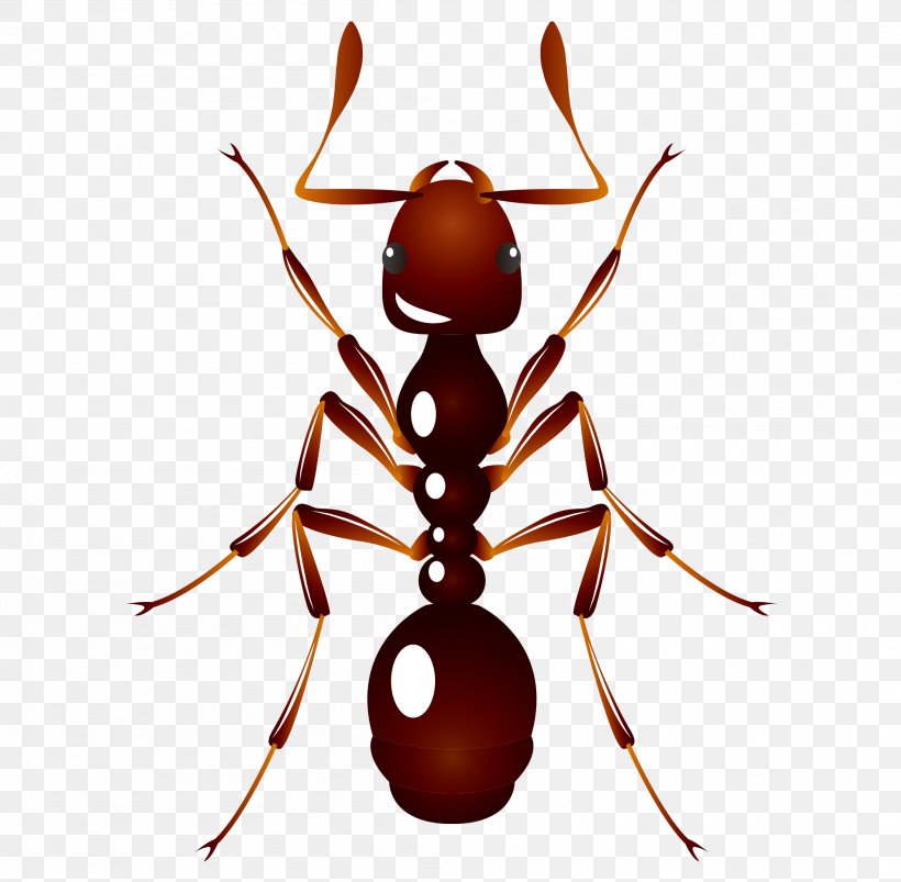 Ant U6606u866b: U8682u8681 Insect, PNG, 2102x2060px, Ant, Arthropod, Color, Drawing, Fire Ant Download Free