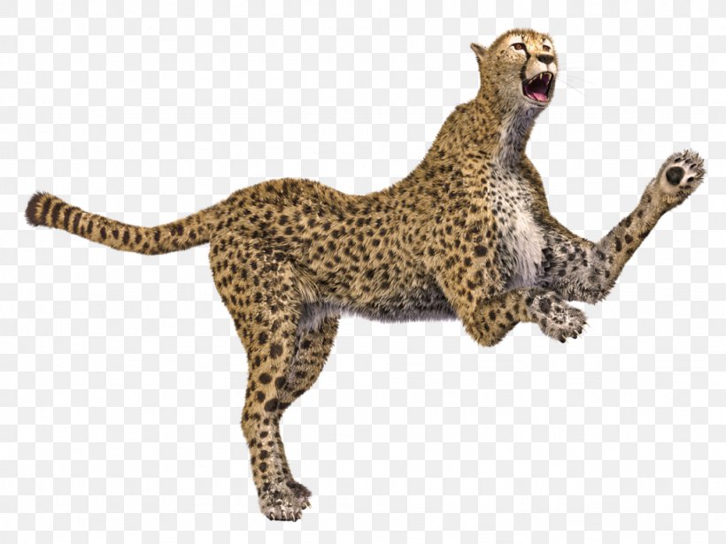 Cheetah Leopard Cat Animal 3D Computer Graphics, PNG, 1024x768px, 3d Computer Graphics, Cheetah, Animal, Animal Figure, Big Cat Download Free