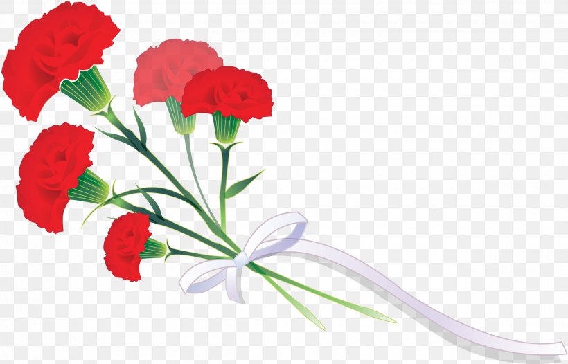 Cut Flowers Carnation Garden Roses Plant, PNG, 2500x1604px, Flower, Annual Plant, Carnation, Cut Flowers, Dahlia Download Free