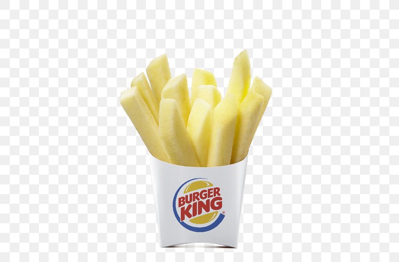 Fast Food Nation: The Dark Side Of The All-American Meal French Fries Hamburger Veggie Burger, PNG, 500x540px, French Fries, Apple, Burger King, Burger King French Fries, Cheeseburger Download Free