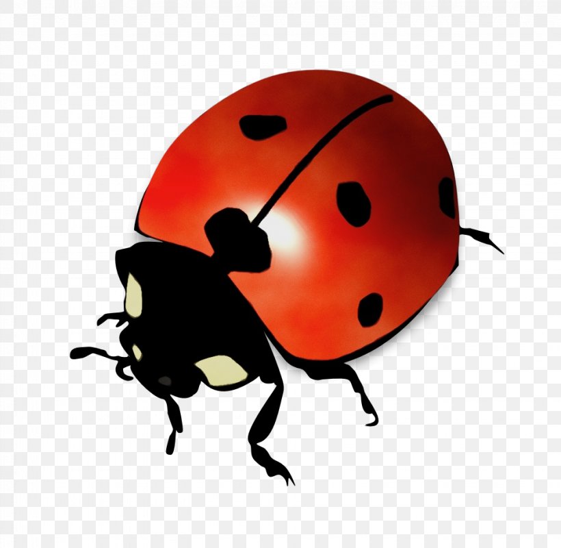 Ladybug, PNG, 975x952px, Watercolor, Beetle, Insect, Ladybug, Leaf Beetle Download Free