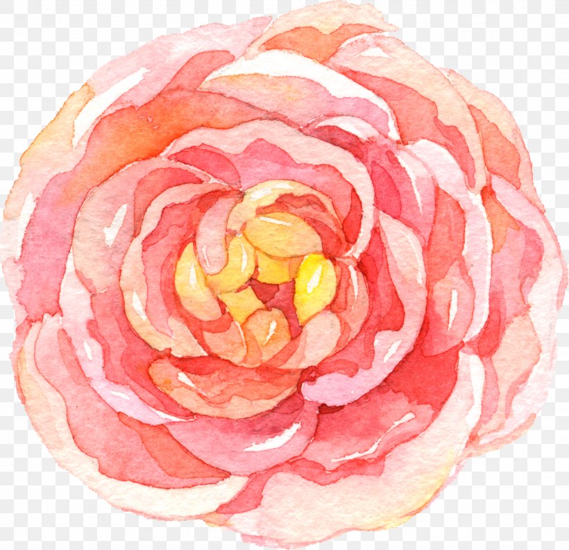 Pink Flower Cartoon, PNG, 2122x2053px, Tea, Camellia, Camellia Chrysantha, Flower, Flowering Tea Download Free