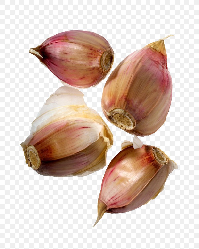 Shallot Elephant Garlic Red Onion Clove, PNG, 680x1024px, Shallot, Bulb, Clove, Commodity, Elephant Garlic Download Free
