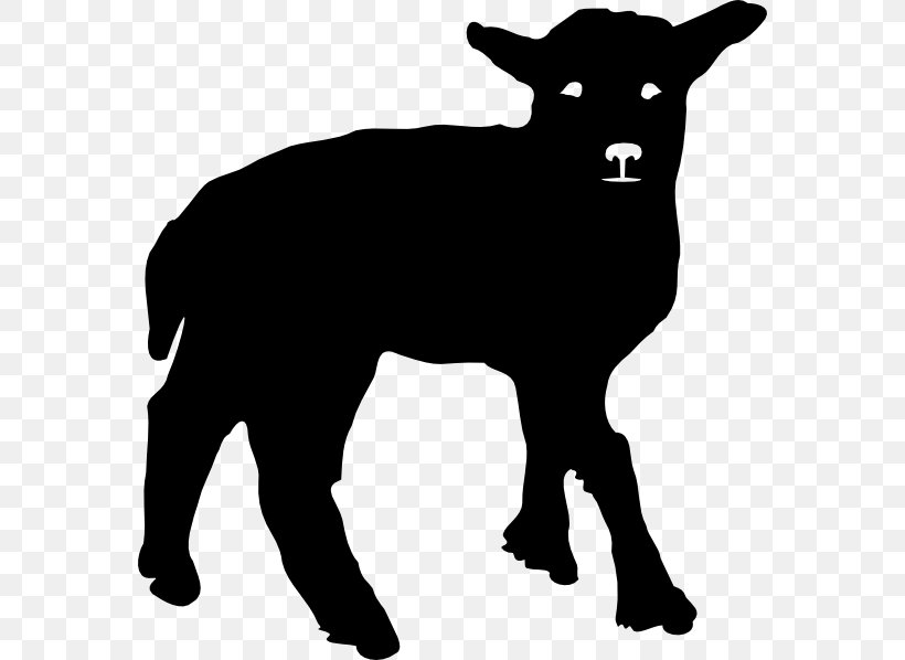 Welsh Mountain Sheep Silhouette Lamb And Mutton Clip Art, PNG, 570x598px, Welsh Mountain Sheep, Autocad Dxf, Black, Black And White, Bull Download Free