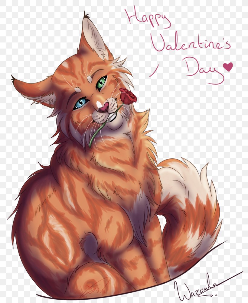 Whiskers Maine Coon Kitten Red Fox, PNG, 800x999px, Whiskers, Carnivoran, Cartoon, Cat, Cat Like Mammal Download Free