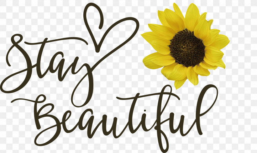 Stay Beautiful Fashion, PNG, 3000x1795px, Stay Beautiful, Cricut, Fashion, Silhouette Download Free