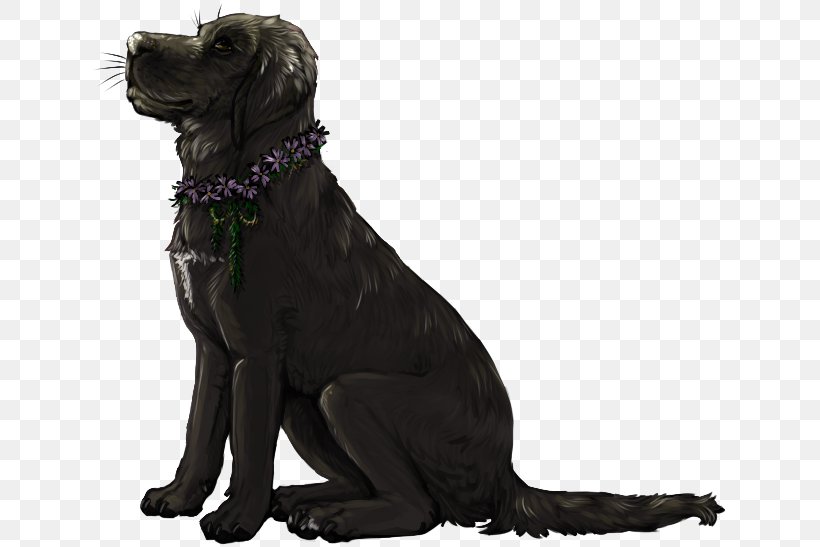 Labrador Retriever Flat-Coated Retriever Dog Breed Companion Dog, PNG, 640x547px, Labrador Retriever, Breed, Carnivoran, Companion Dog, Crossbreed Download Free