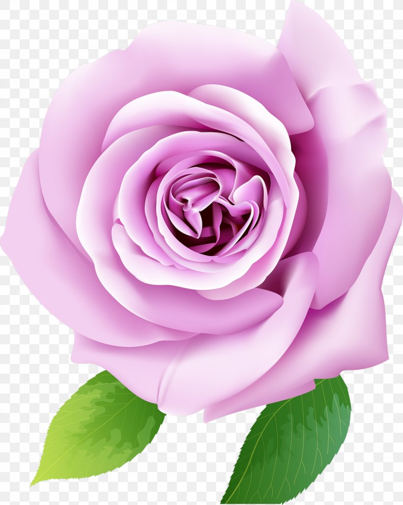 Paper Mural Garden Roses Wallpaper, PNG, 1022x1280px, Paper, Color, Cut Flowers, Decorative Arts, Floribunda Download Free