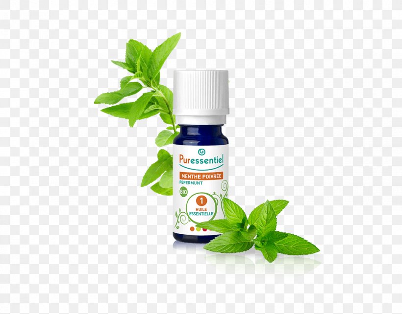 Peppermint Essential Oil Huile Essentielle De Menthe Aromatherapy, PNG, 970x760px, Peppermint, Aromatherapy, Essential Oil, Food, Health Download Free