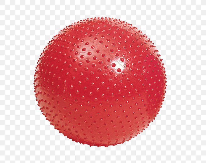 Exercise Balls Physical Fitness Fitness Centre, PNG, 555x650px, Exercise Balls, Artikel, Ball, Bodybuilding, Dumbbell Download Free