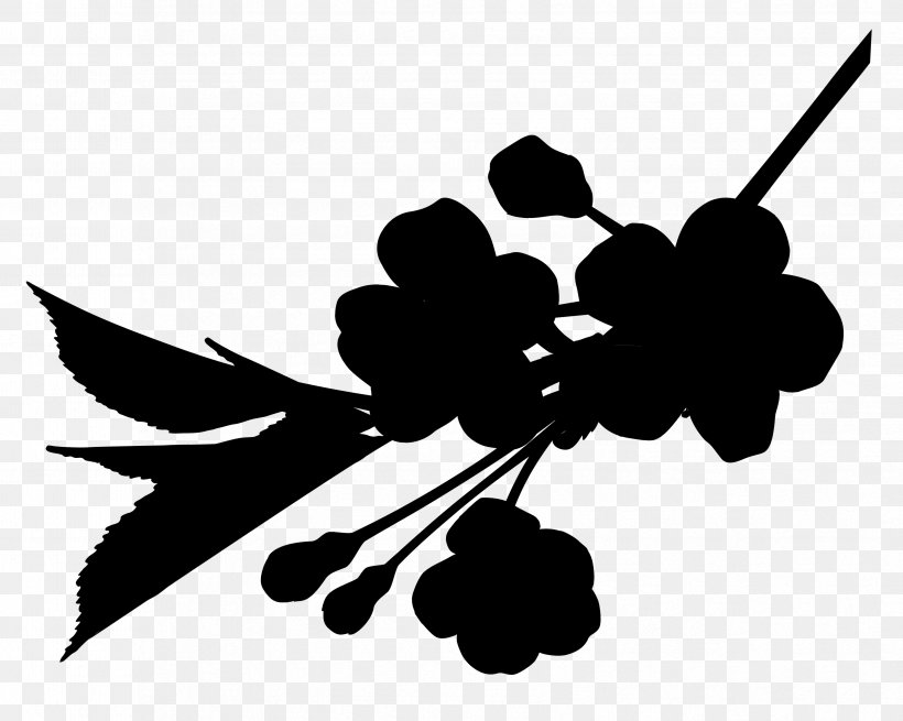 Flowering Plant Fruit Clip Art Line, PNG, 3356x2683px, Flower, Blackandwhite, Branch, Design M Group, Flowering Plant Download Free