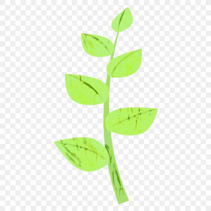 Green Leaf Background, PNG, 1024x1024px, Leaf, Eucalyptus, Flower, Green, Hypericum Download Free