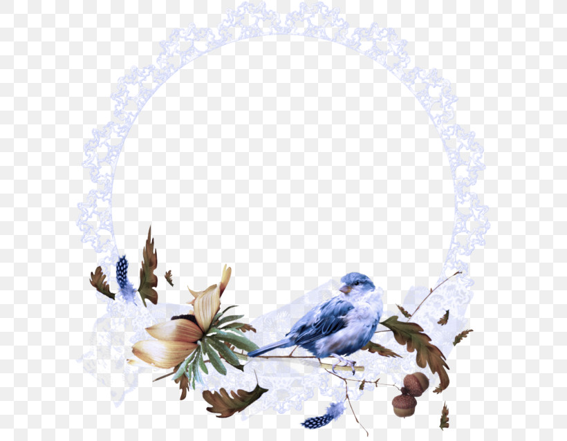 Bluebird Songbird Plant Perching Bird Bird, PNG, 601x638px, Bluebird, Bird, Colorado Spruce, Perching Bird, Plant Download Free