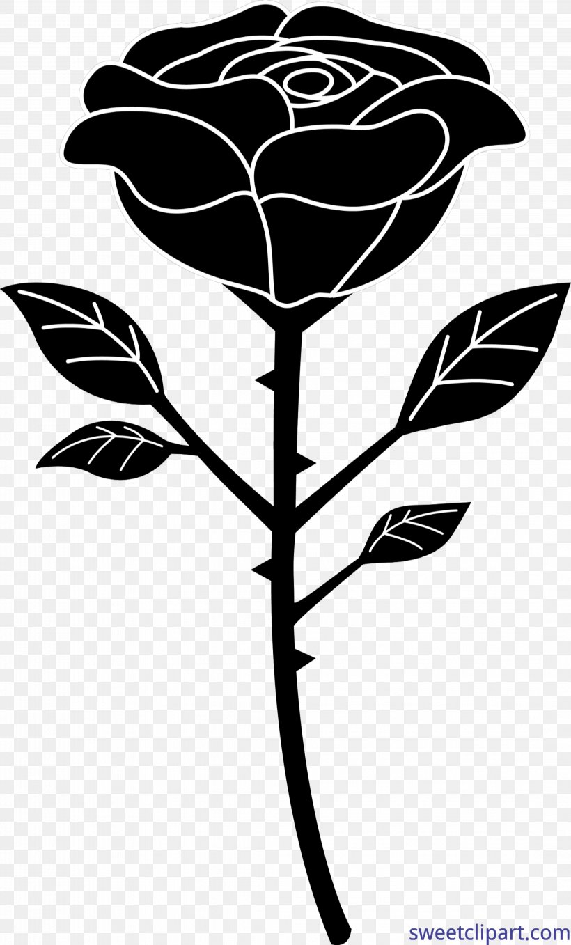 Tattoo Clip Art Rose Drawing Vector Graphics, PNG, 4334x7175px, Tattoo Clip Art, Black, Black And White, Black Rose, Branch Download Free