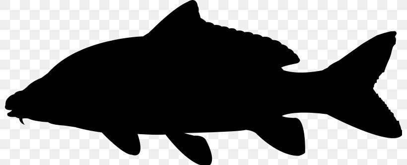 Whiskers Common Carp Silhouette, PNG, 800x332px, Whiskers, Black, Black And White, Black Carp, Carnivoran Download Free