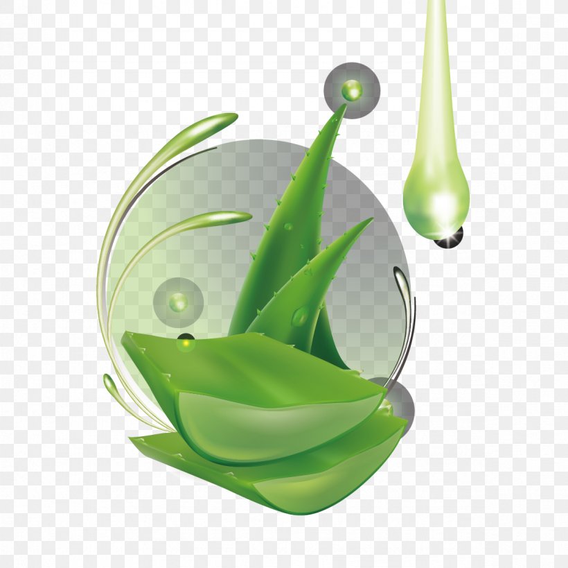 Aloe Vera Leaf Gel, PNG, 1181x1181px, Aloe Vera, Aloe, Essential Oil, Gel, Green Download Free