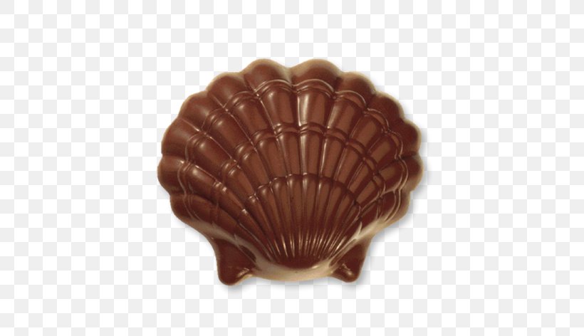 Cockle Conchology Brown, PNG, 536x472px, Cockle, Brown, Clams Oysters Mussels And Scallops, Conchology, Praline Download Free