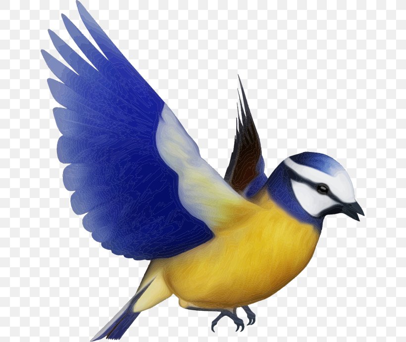 Bird Silhouette Clip Art, PNG, 655x691px, Bird, Beak, Blue Jay, Bluebird, Cobalt Blue Download Free