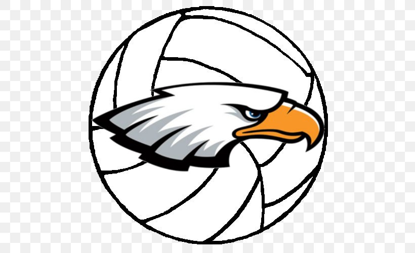 Coloring Book Volleyball Sport Drawing, PNG, 500x500px, Coloring Book, Art, Artwork, Ball, Beak Download Free