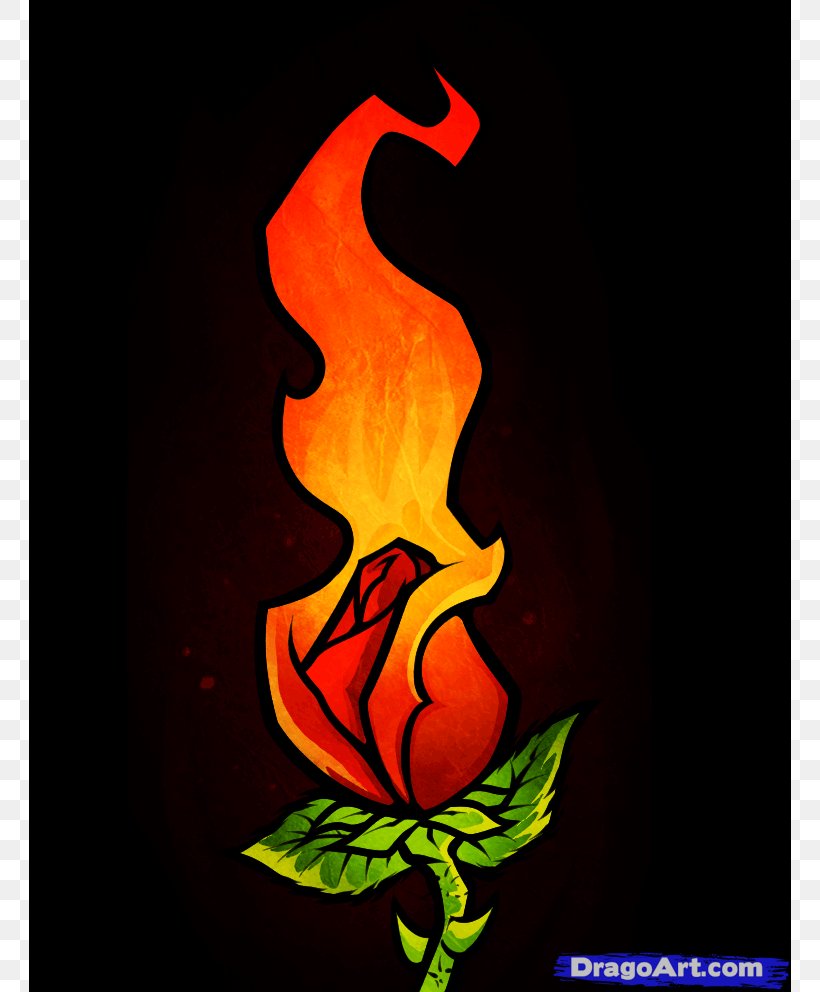 Drawing Rose Fire Flower, PNG, 762x992px, Drawing, Art, Black Rose, Cartoon, Combustion Download Free