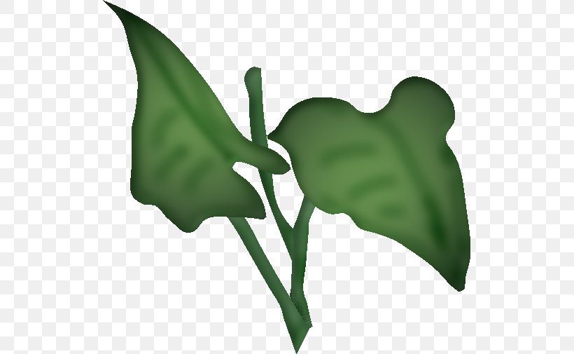 Flower, PNG, 525x505px, Flower, Alismatales, Arum, Arum Family, Blume Download Free