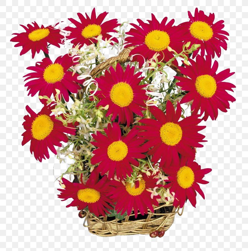 Chrysanthemum Floral Design Transvaal Daisy Cut Flowers Flowerpot, PNG, 770x830px, Chrysanthemum, Annual Plant, Chrysanths, Cut Flowers, Daisy Download Free