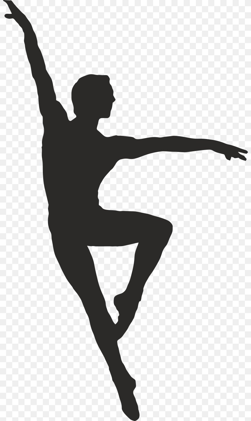 Dance Ballet Clip Art Image, PNG, 800x1372px, Dance, Aerial Silk, Arm, Art, Ballet Download Free