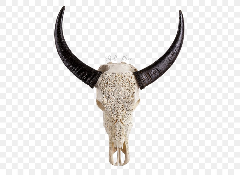 Horn Cattle Animal Skulls, PNG, 600x600px, Horn, Animal, Animal Skulls, Artist, Beef Download Free