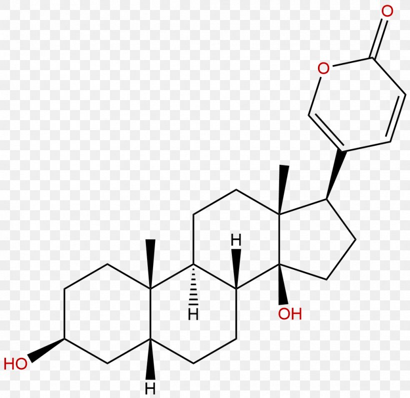 Hyodeoxycholic Acid Bile Acid, PNG, 1034x1003px, Cholic Acid, Acid, Amino Acid, Area, Bile Download Free