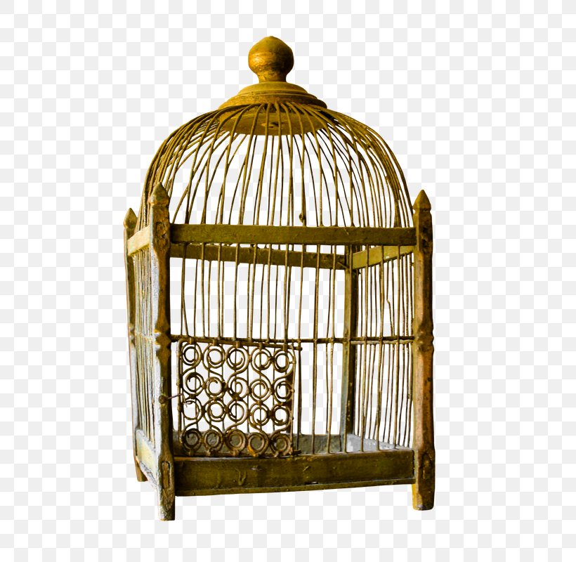 Birdcage Birdcage Clip Art, PNG, 728x800px, Bird, Birdcage, Brass, Cage, Furniture Download Free