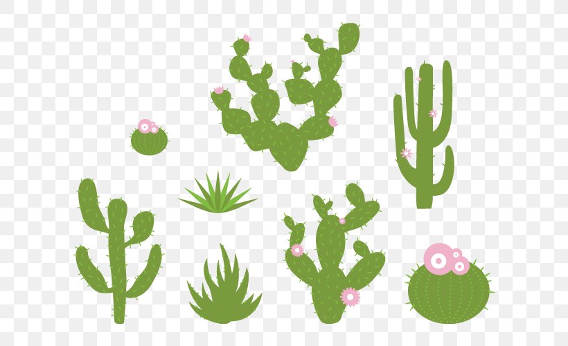 Cactaceae Wall Decal Sticker Plant, PNG, 660x500px, Cactaceae, Cactus, Caryophyllales, Decal, Desert Download Free