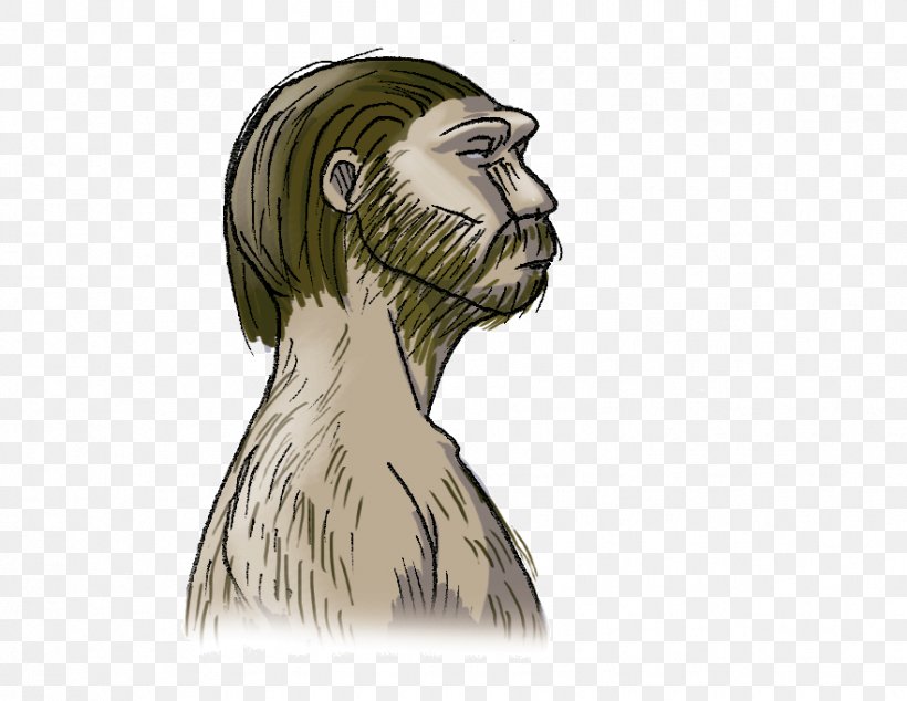 Human Neanderthal Vertebrate Primate Prehistory, PNG, 881x682px, Watercolor, Cartoon, Flower, Frame, Heart Download Free
