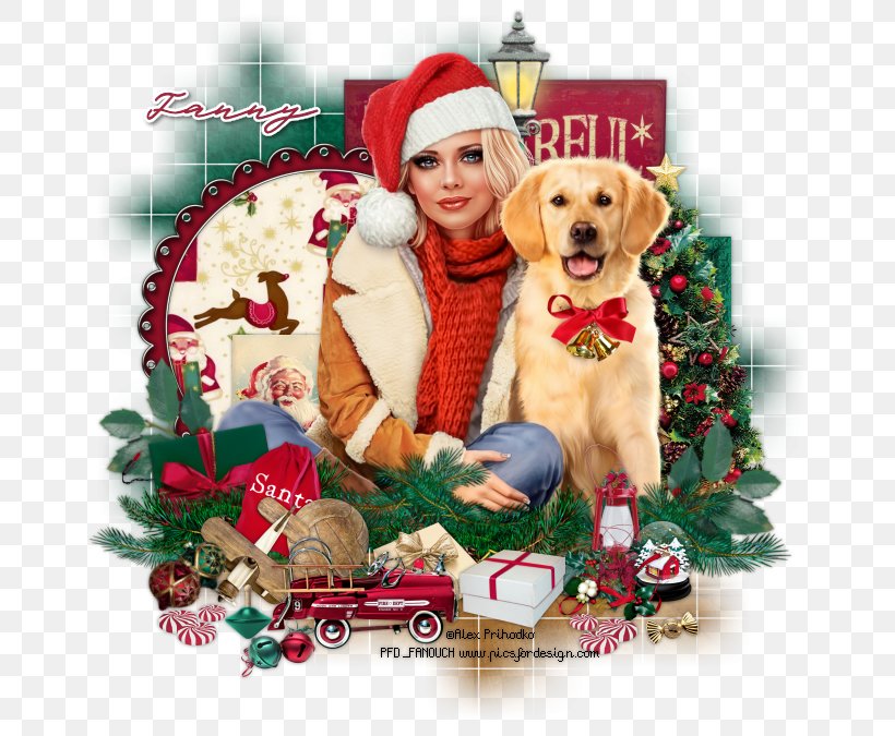 Labrador Retriever Golden Retriever Puppy Dog Breed Christmas Ornament, PNG, 676x675px, Labrador Retriever, Breed, Carnivoran, Christmas, Christmas Decoration Download Free