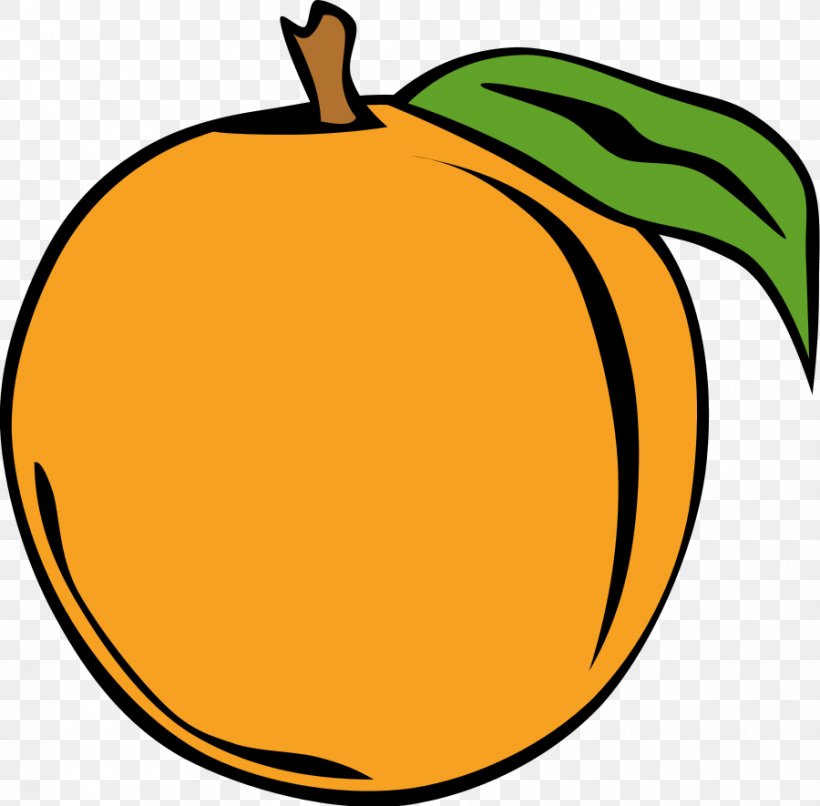 Peach Free Content Clip Art, PNG, 900x885px, Peach, Apple, Artwork, Calabaza, Cucurbita Download Free