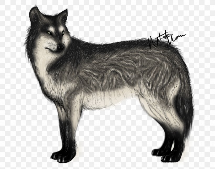 Sakhalin Husky Native American Indian Dog Dog Breed Red Fox Siberian Husky, PNG, 900x710px, Sakhalin Husky, Alaskan Tundra Wolf, Black And White, Breed, Canis Download Free
