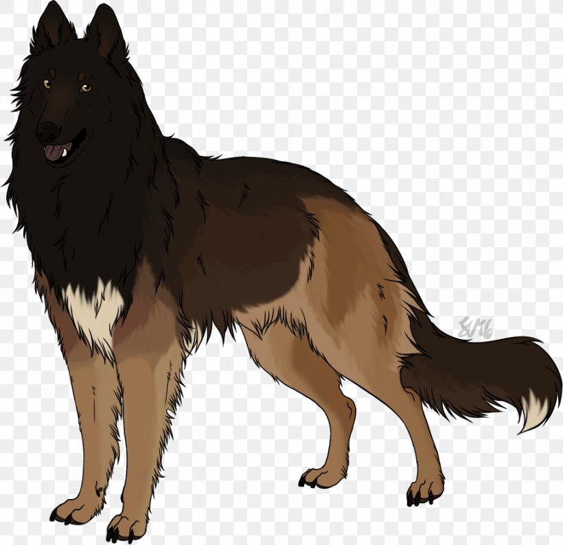 Dog Breed Tervuren German Shepherd Belgian Shepherd Shiloh Shepherd Dog, PNG, 918x889px, Dog Breed, Belgian Shepherd, Breed, Carnivoran, Dog Download Free