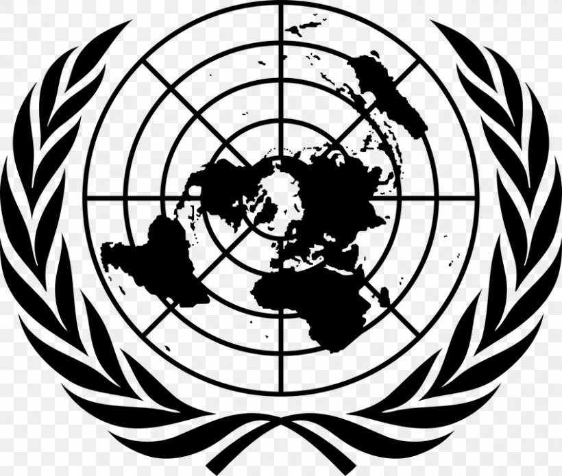 Flag Of The United Nations Office Of The United Nations High Commissioner For Human Rights Symbol Model United Nations, PNG, 849x720px, United Nations, Art, Ball, Black And White, Flag Of The United Nations Download Free
